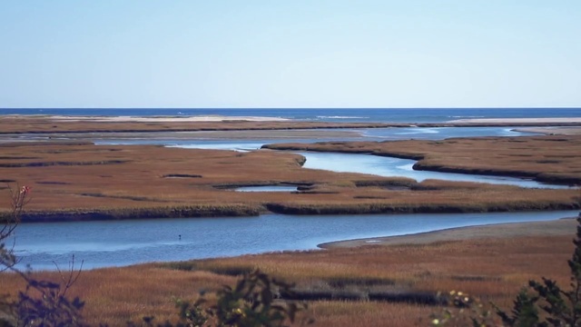 Video Reference: Natural environment, Natural landscape, Tidal marsh, Marsh, Mudflat, Sea, Salt marsh, Wetland, Coast, Tundra