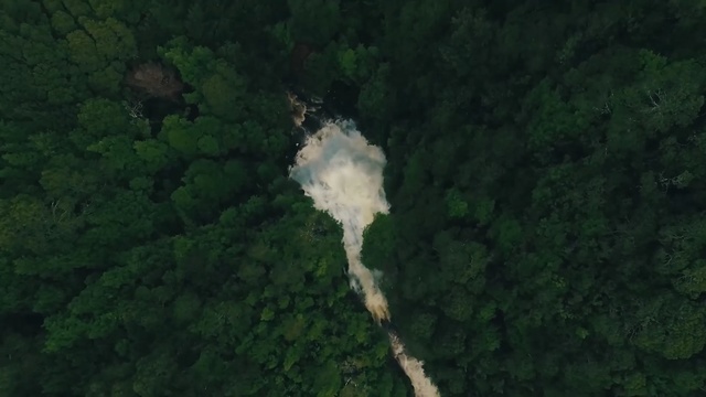 Video Reference: vegetation, nature reserve, forest, geological phenomenon, aerial photography, rainforest, tree, biome, water resources, sky