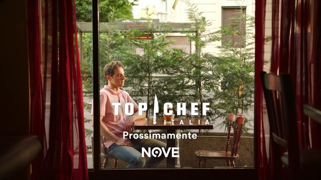 Video Reference: window, tree