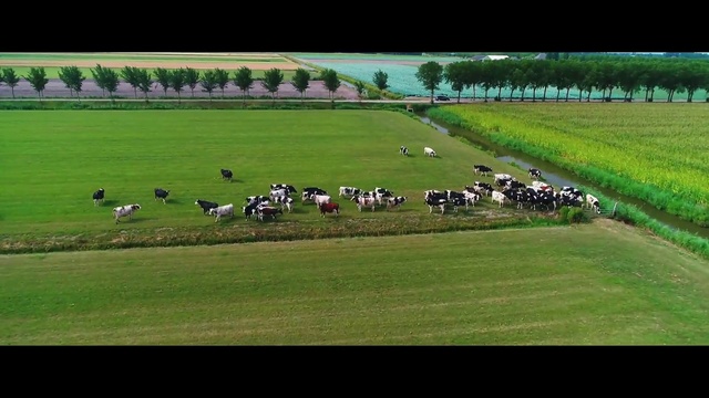 Video Reference: Grassland, Pasture, Horse racing, Grass, Rural area, Farm, Field, Meadow, Plain, Racing