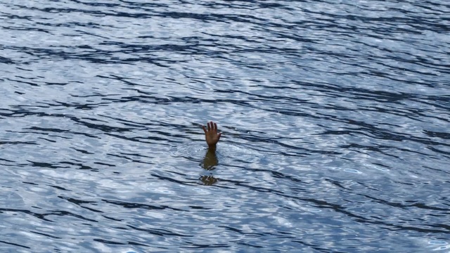 Video Reference: water, sea, ocean, wave, sky, seabird, river, bird