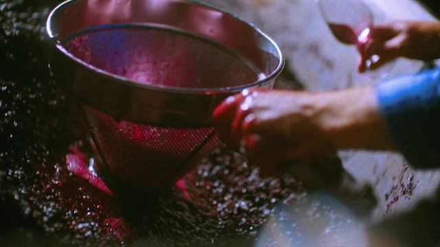 Video Reference: Water, Food, Drink, Magenta