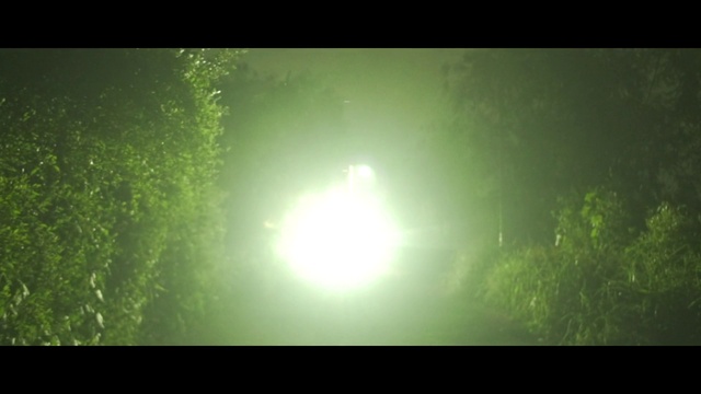 Video Reference: Green, Nature, Sky, Sunlight, Light, Atmosphere, Atmospheric phenomenon, Morning, Natural environment, Leaf