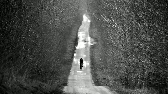 Video Reference: Black, White, Black-and-white, Monochrome photography, Water, Monochrome, Light, Atmospheric phenomenon, Darkness, Tree, Person
