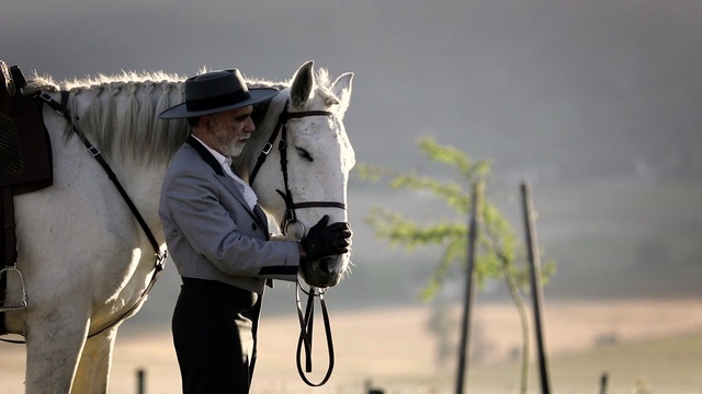 Video Reference: horse, rein, horse tack, bridle, horse like mammal, stallion, horse supplies, horse harness, pack animal, equestrian, Person