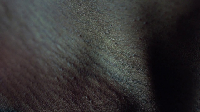 Video Reference: Black, Skin, Brown, Close-up, Textile