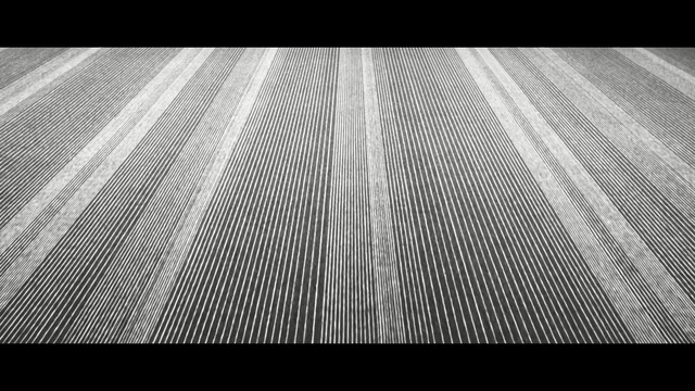 Video Reference: black, white, black and white, monochrome photography, structure, light, photography, symmetry, architecture, pattern