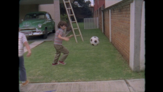 Video Reference: Grass, Lawn, Backyard, Yard, Soccer ball, Snapshot, Net, Ball, Play, Fun