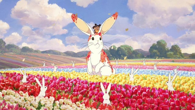 Video Reference: flower, flowering plant, plant, tulip, field, spring, petal, sky, wildflower, meadow