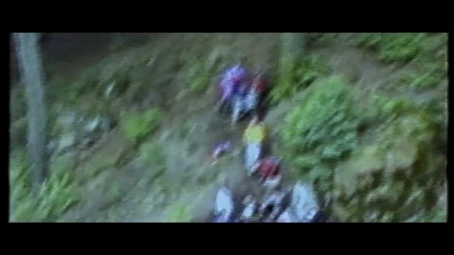Video Reference: Nature, Adventure, Jungle, Rainforest, Trail, Forest, Recreation, Woodland, Tree, Downhill mountain biking, Person