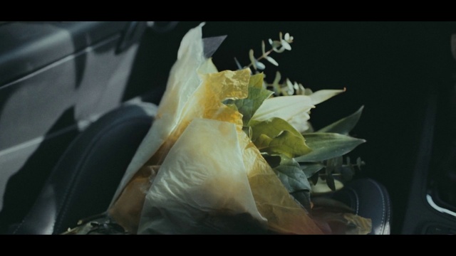 Video Reference: Yellow, Flower, Leaf, Plant, Photography, Petal, Food, Floristry, Art, Still life photography
