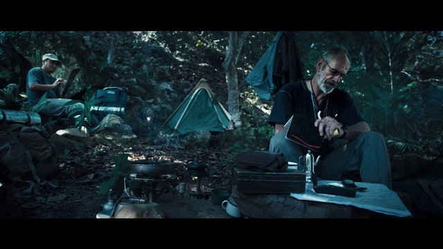 Video Reference: Green, Adaptation, Darkness, Digital compositing, Screenshot, Movie, Photography, Forest, Adventure game, Fictional character