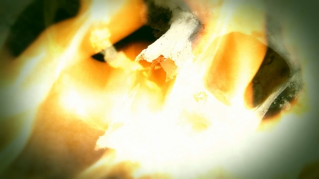 Video Reference: yellow, close up, macro photography, sunlight, computer wallpaper, flame, heat