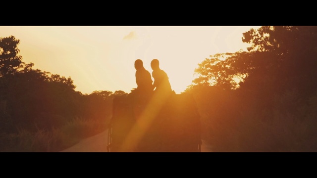 Video Reference: sky, sun, yellow, sunrise, atmosphere, morning, sunlight, light, dawn, photography