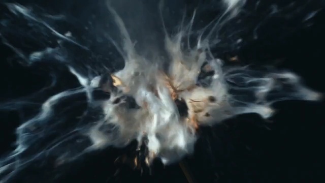 Video Reference: Whiskers, Organism, Cat, Felidae, Space