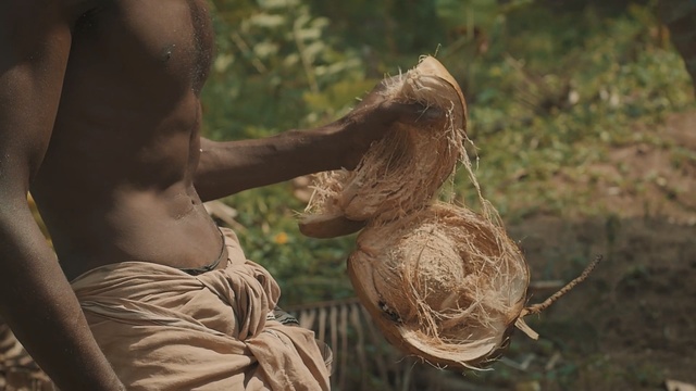 Video Reference: Human, Plant, Adaptation, Vegetable, Child, Person