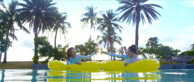 Video Reference: leisure, water, tree, plant, vacation, palm tree, arecales, resort, recreation, tourism