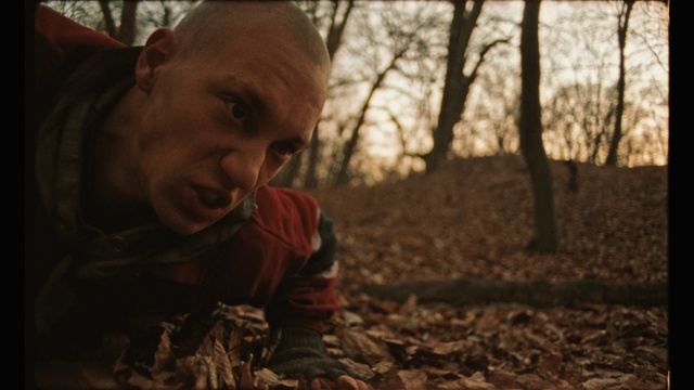 Video Reference: Natural environment, Tree, Leaf, Forest, Woodland, Adaptation, Smile, Human, Autumn, Grass