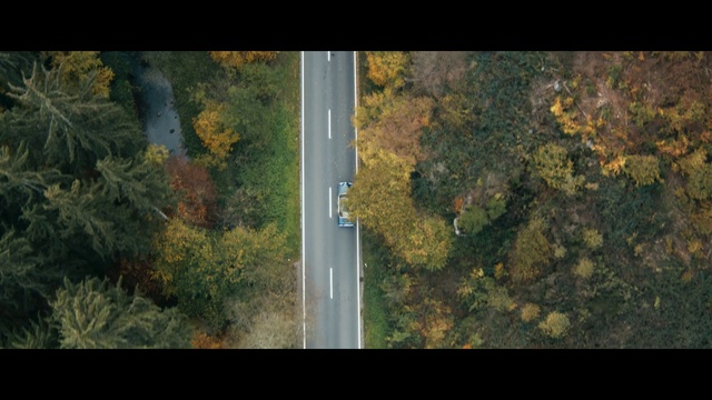 Video Reference: Nature, Vegetation, Aerial photography, Leaf, Water, Green, Biome, Tree, Wilderness, Forest