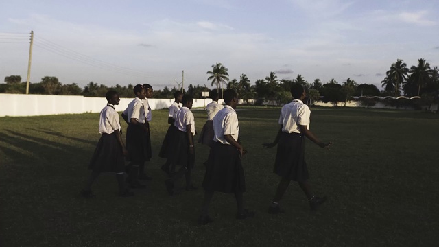 Video Reference: Tree, Landscape, Aikido, Sport venue, Team, Person
