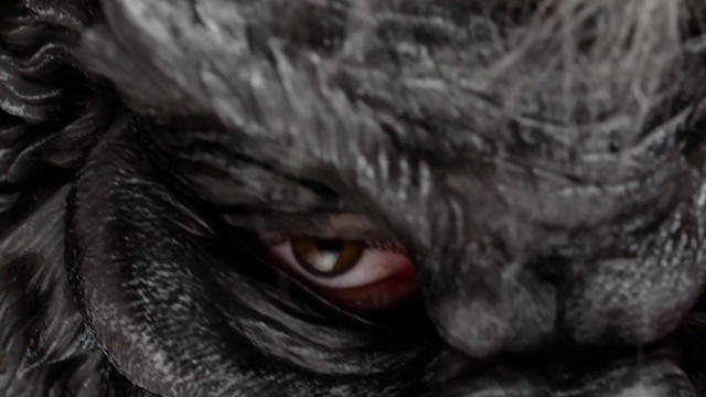Video Reference: Eye, Close-up, Organ, Snout, Iris, Photography, Fur, Darkness, Fictional character, Screenshot