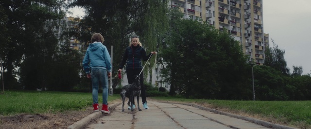 Video Reference: Dog walking, Walking, Leash, Canidae, Dog, Cani cross, Dog breed, Sidewalk, Grass, Tree