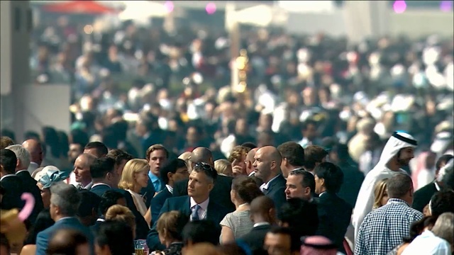 Video Reference: Crowd, People, Audience, Event, Fan, Cheering, City, Person