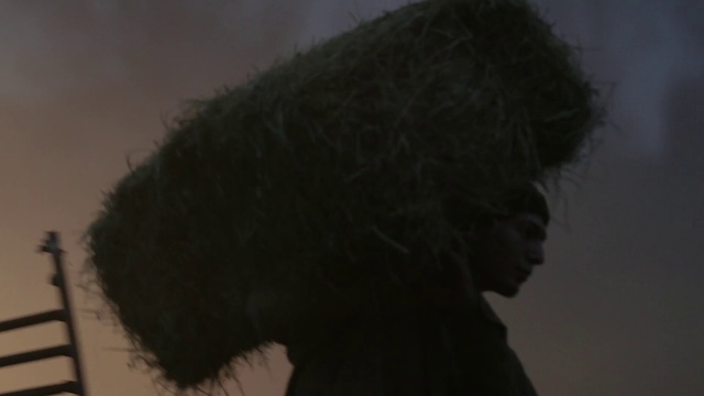 Video Reference: Hair, Black, Hairstyle, Nose, Portrait, Chin, Human, Fur, Forehead, Photography