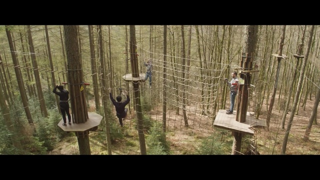 Video Reference: Nature, Tree, Natural environment, Forest, Woodland, Biome, Plant, Grass, Adaptation, Wildlife