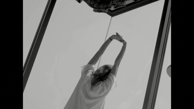 Video Reference: white, black, photograph, black and white, monochrome photography, photography, monochrome, sky, arm, line