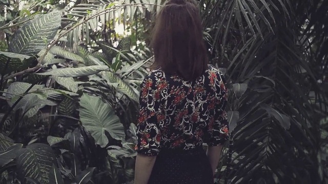 Video Reference: Natural environment, Jungle, Vegetation, Tree, Forest, Leaf, Botany, Rainforest, Outerwear, Plant, Person, Woman, Holding, Standing, Looking, Girl, Palm, Lady, Front, Young, Cellphone, Umbrella, Phone, Man, Black, Walking, Talking, Red, Rain, Room, Clothing