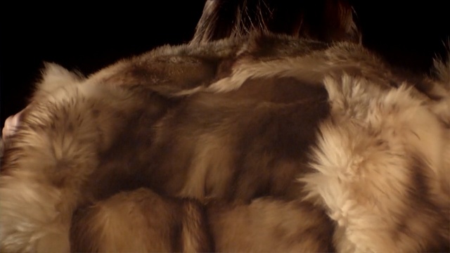 Video Reference: fur, fur clothing, textile, snout, material, whiskers