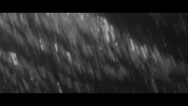 Video Reference: Black, Nature, Darkness, Monochrome photography, Light, Black-and-white, Atmosphere, Tree, Monochrome, Photography