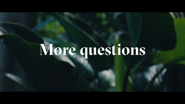 Video Reference: Nature, Leaf, Green, Font, Vegetation, Plant, Organism, Macro photography, Botany, Grass family