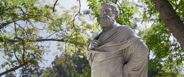 Video Reference: tree, statue, woody plant, plant, monument, grass, sculpture, branch, garden, plantation