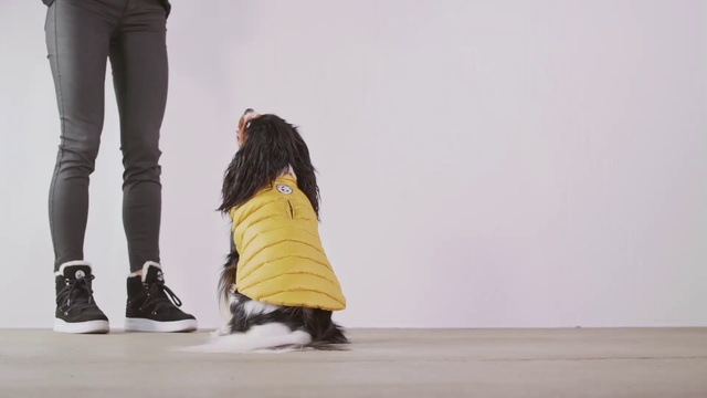 Video Reference: Yellow, Footwear, Joint, Fashion, Standing, Leg, Knee, Human, Human body, Shoe