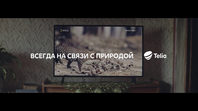 Video Reference: Text, Display device, Organism, Font, Tree, Photography, Wildlife, Multimedia, Room, Screenshot