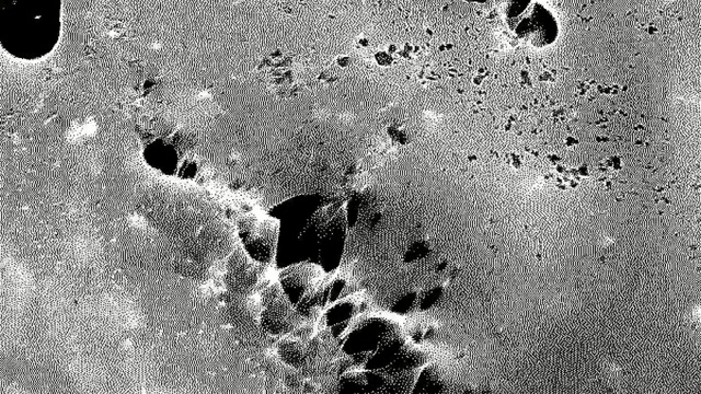 Video Reference: Black, Black-and-white, Monochrome photography, Monochrome, Wall, Rock, Organism, Photography, Sand, Geology