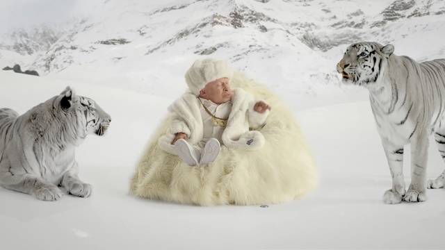 Video Reference: mammal, wildlife, cat like mammal, snow, big cats, arctic, fur, tiger, winter, carnivoran