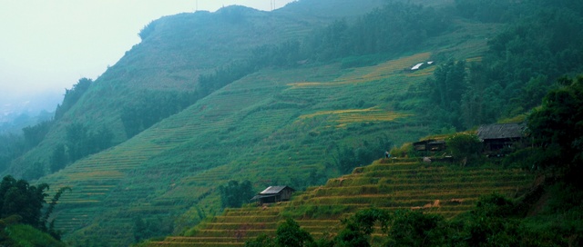 Video Reference: Highland, Mountainous landforms, Hill station, Mountain, Hill, Valley, Natural landscape, Terrace, Fell, Landscape