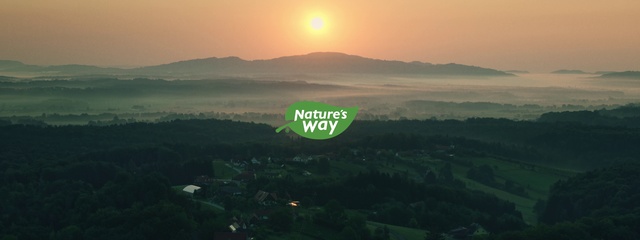 Video Reference: Sky, Nature, Atmospheric phenomenon, Hill station, Morning, Natural landscape, Horizon, Hill, Atmosphere, Sunrise