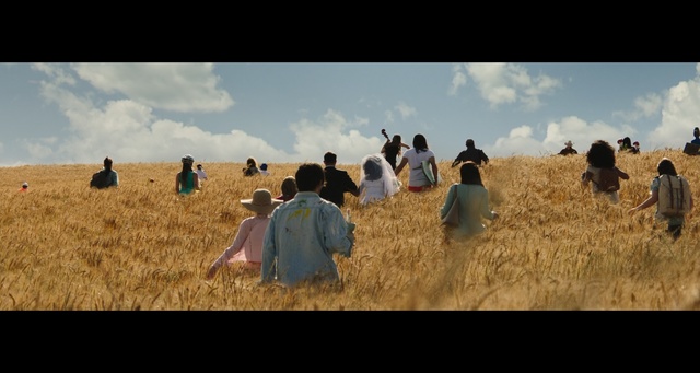 Video Reference: Adaptation, Grass, Ecoregion, Landscape, Soil, Stock photography, Field, Agriculture, Crop, Straw, Person