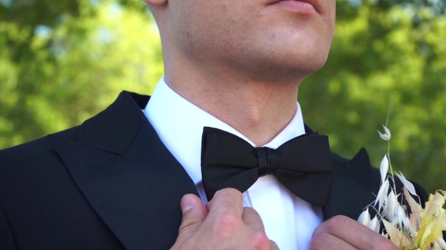 Video Reference: Bow tie, Tie, Formal wear, Suit, Tuxedo, Neck, Fashion accessory, Photography, White-collar worker, Plant