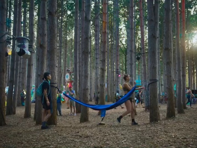 Video Reference: Woodland, Playground, Forest, Public space, Tree, Natural environment, Nature reserve, Human settlement, Outdoor play equipment, Jungle