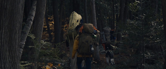 Video Reference: Wilderness, Natural environment, Forest, Woodland, Jungle, Tree, Old-growth forest, Adaptation, Recreation, Plant