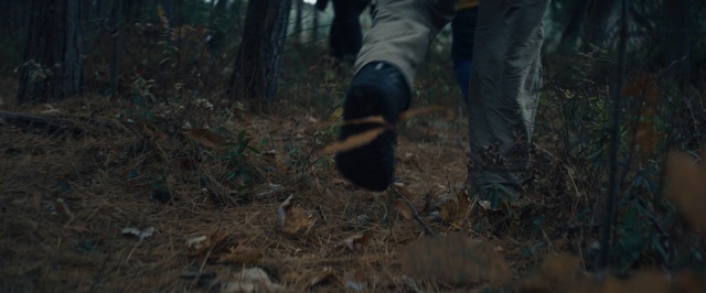 Video Reference: Footwear, Forest, Woodland, Soil, Tree, Leg, Adaptation, Shoe, Jungle, Mud