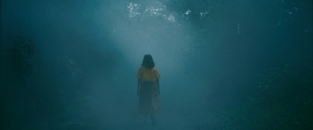 Video Reference: Underwater, Blue, Aqua, Turquoise, Water, Teal, Azure, Marine biology, Sea, Organism, Person