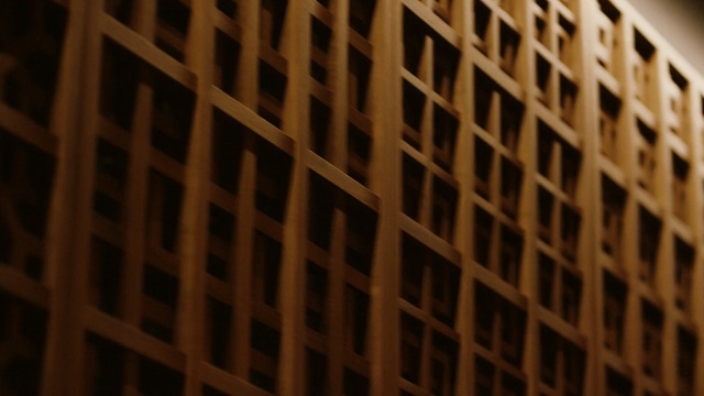 Video Reference: light, architecture, wood, wall, symmetry, line, daylighting, building, mesh, material