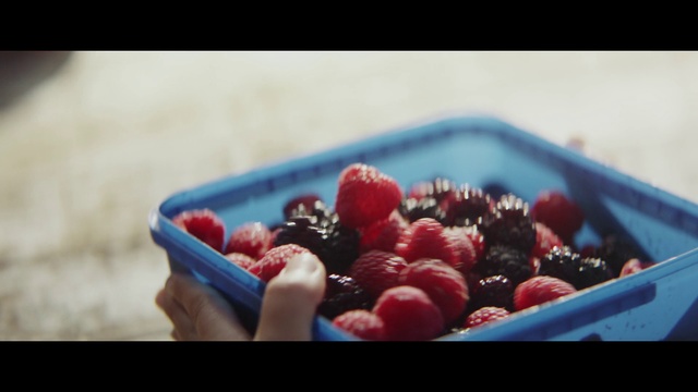 Video Reference: Food, Berry, Fruit, Natural foods, Frutti di bosco, Plant, Superfood, Cherry, Local food, Produce