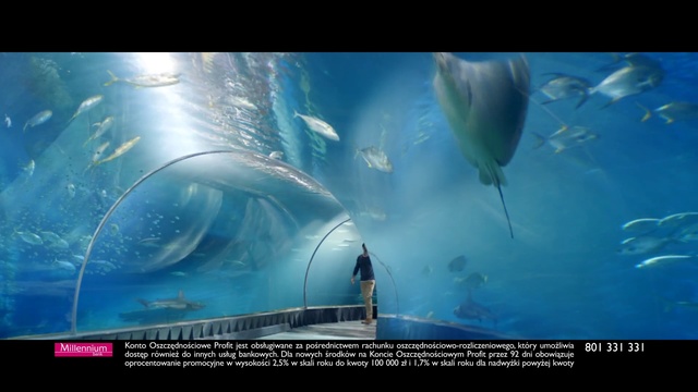 Video Reference: Marine biology, Underwater, Organism, Fish, World